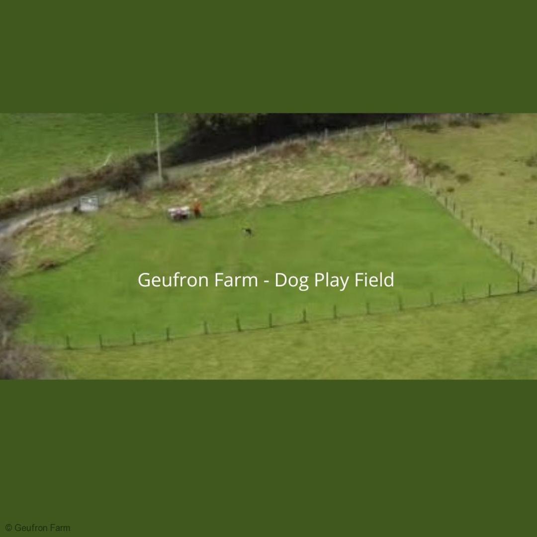 Dog Friendly Cottage, Geufron Farm Near Tywyn Bryn-crug Exterior foto